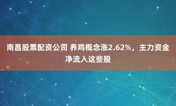 南昌股票配资公司 养鸡概念涨2.62%，主力资金净流入这些股