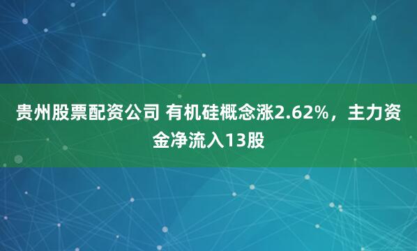 贵州股票配资公司 有机硅概念涨2.62%，主力资金净流入13股