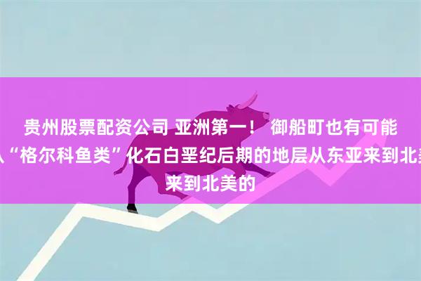 贵州股票配资公司 亚洲第一！ 御船町也有可能是从“格尔科鱼类”化石白垩纪后期的地层从东亚来到北美的